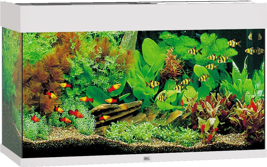 Juwel Rio 125 LED Komplett Aquarium ohne Schrank weiß