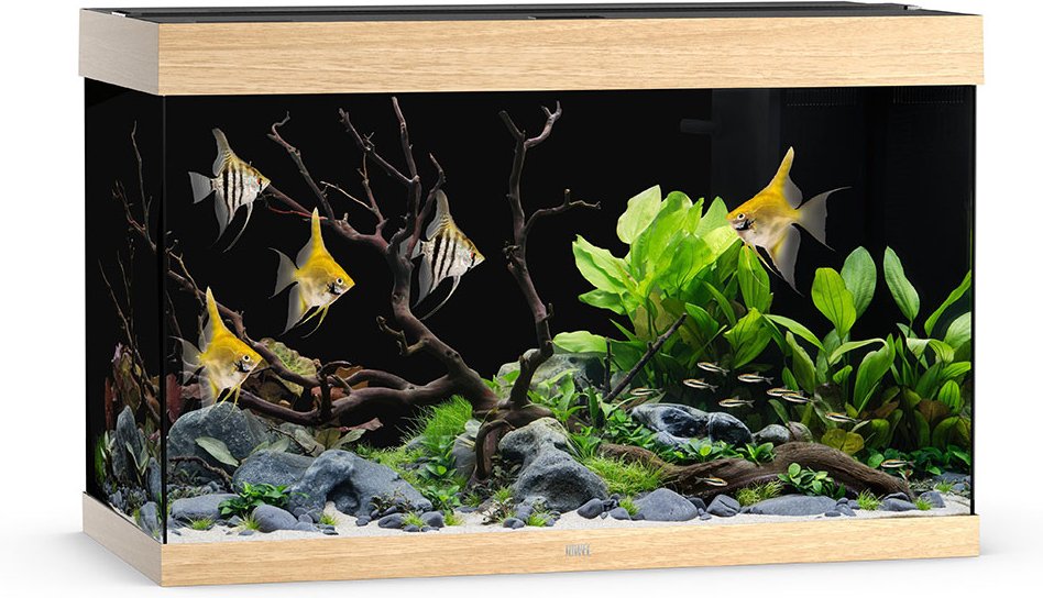 Juwel Rio 290 LED Aquarium Helles Holz