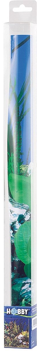 Hobby Aquarium Fotorückwand Canyon / Woodland 60x30 cm