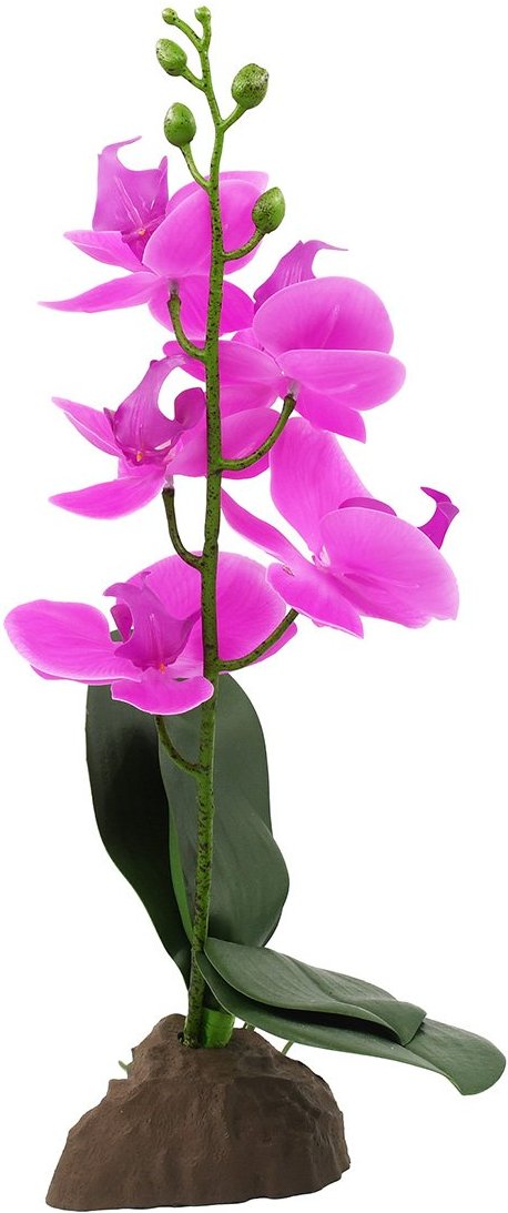 Lucky Reptile Orchidee klein lila 35 cm