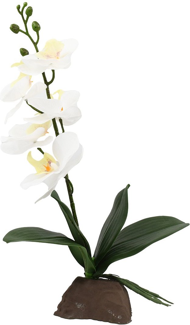 Lucky Reptile Orchidee klein weiß 35 cm