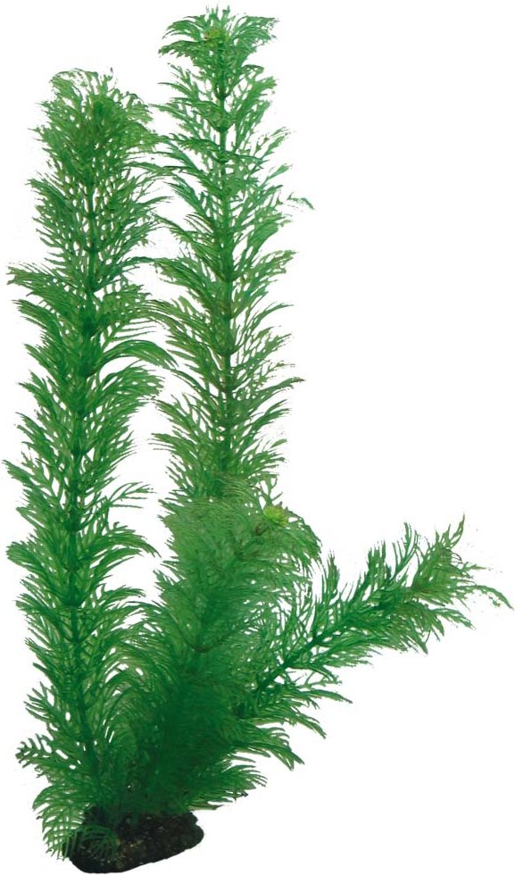 Hobby Aquariumdekoration Egeria 34 cm