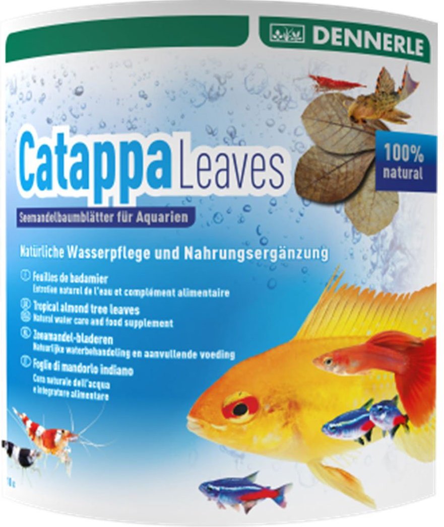 DENNERLE AquaRico Catappa Leaves, 10 Stück Seemandelbaumblätter