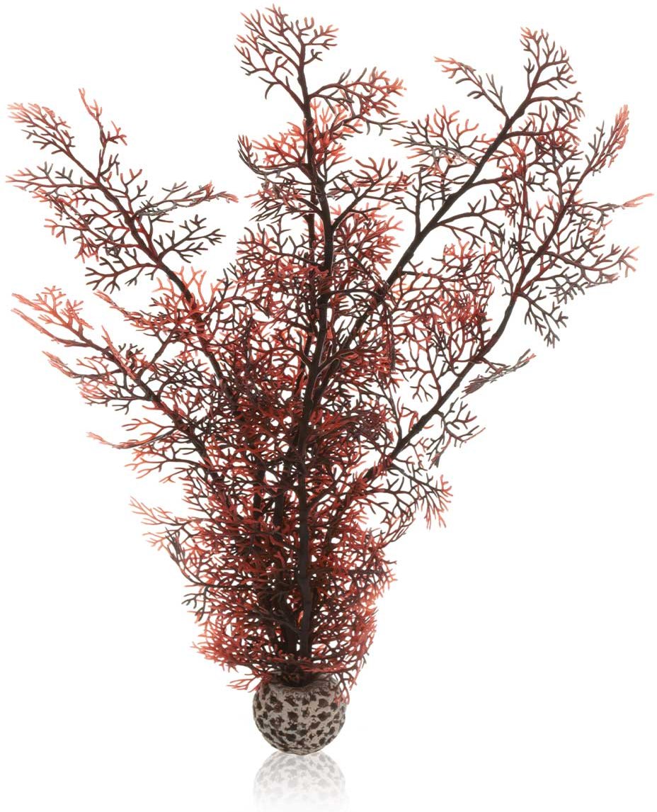 biOrb Hornkoralle dunkelrot L