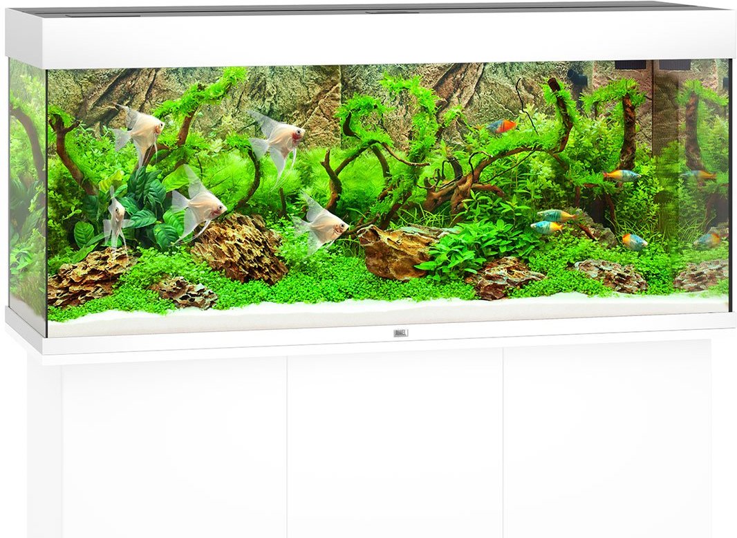 Thumbnail - Juwel Rio 240 LED Komplett Aquarium ohne Schrank weiß