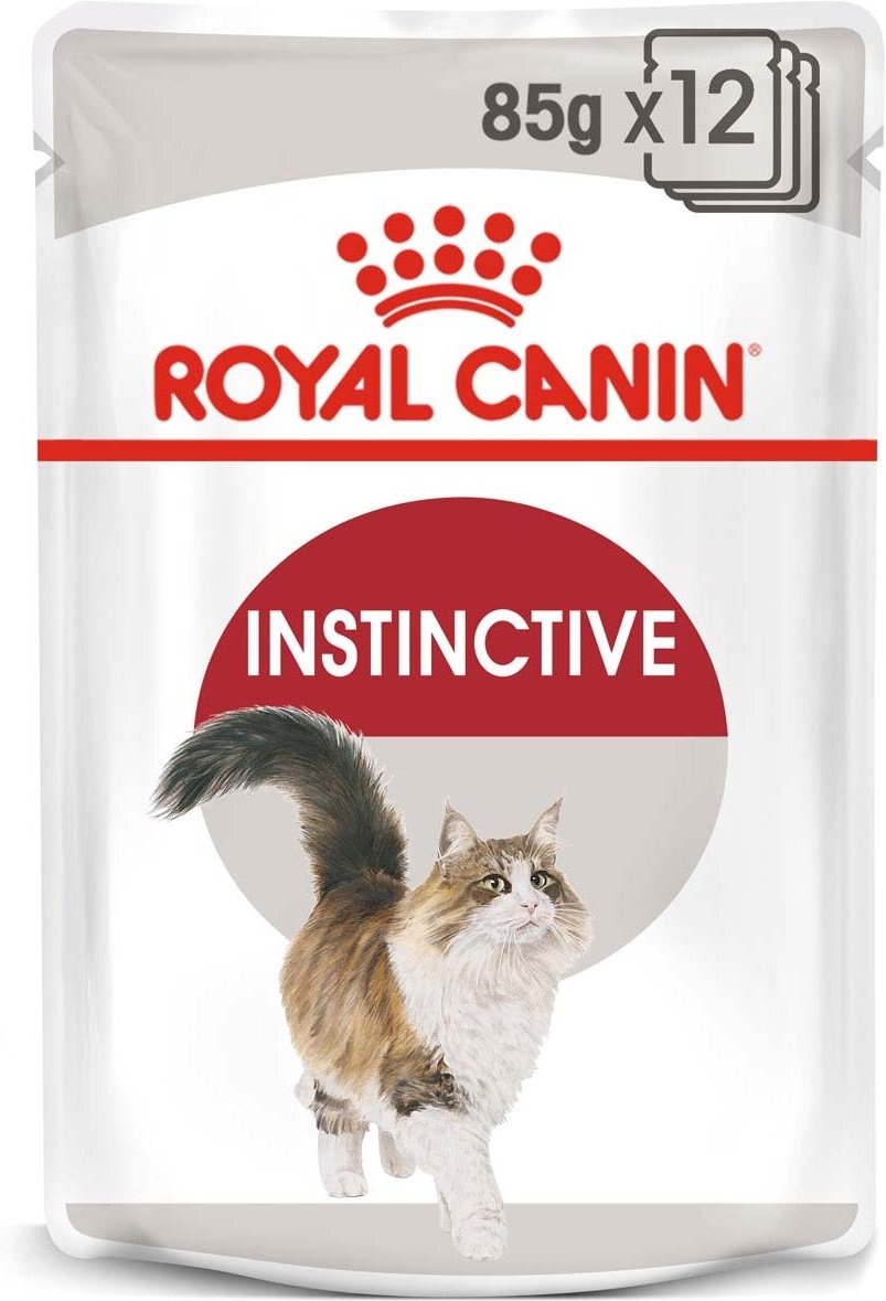 ROYAL CANIN INSTINCTIVE Katzenfutter nass in Gelee 12x85g