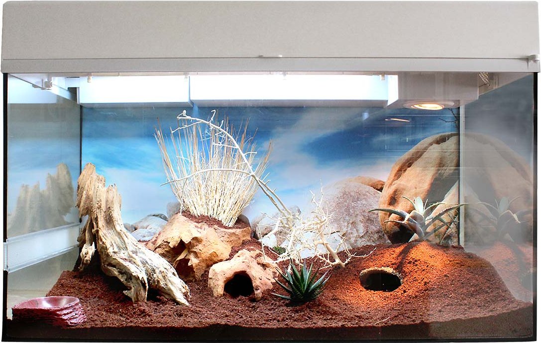 Lucky Reptile Terrarium Starter Kit 80 cm "Leopardgecko" weiß