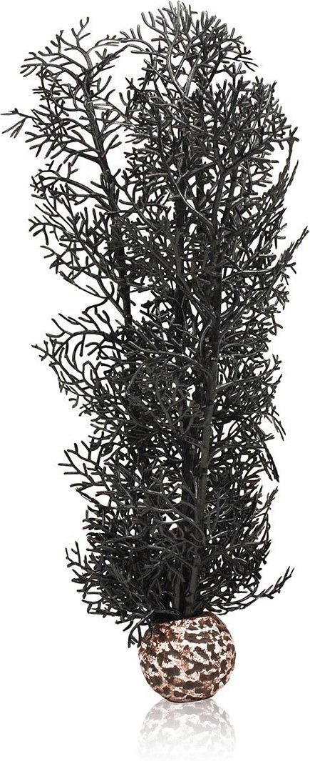 biOrb Hornkoralle schwarz M