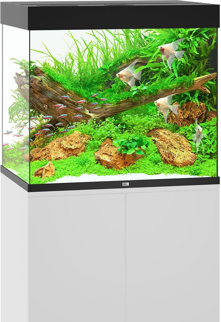 Juwel Lido 200 LED Komplett Aquarium ohne Schrank schwarz