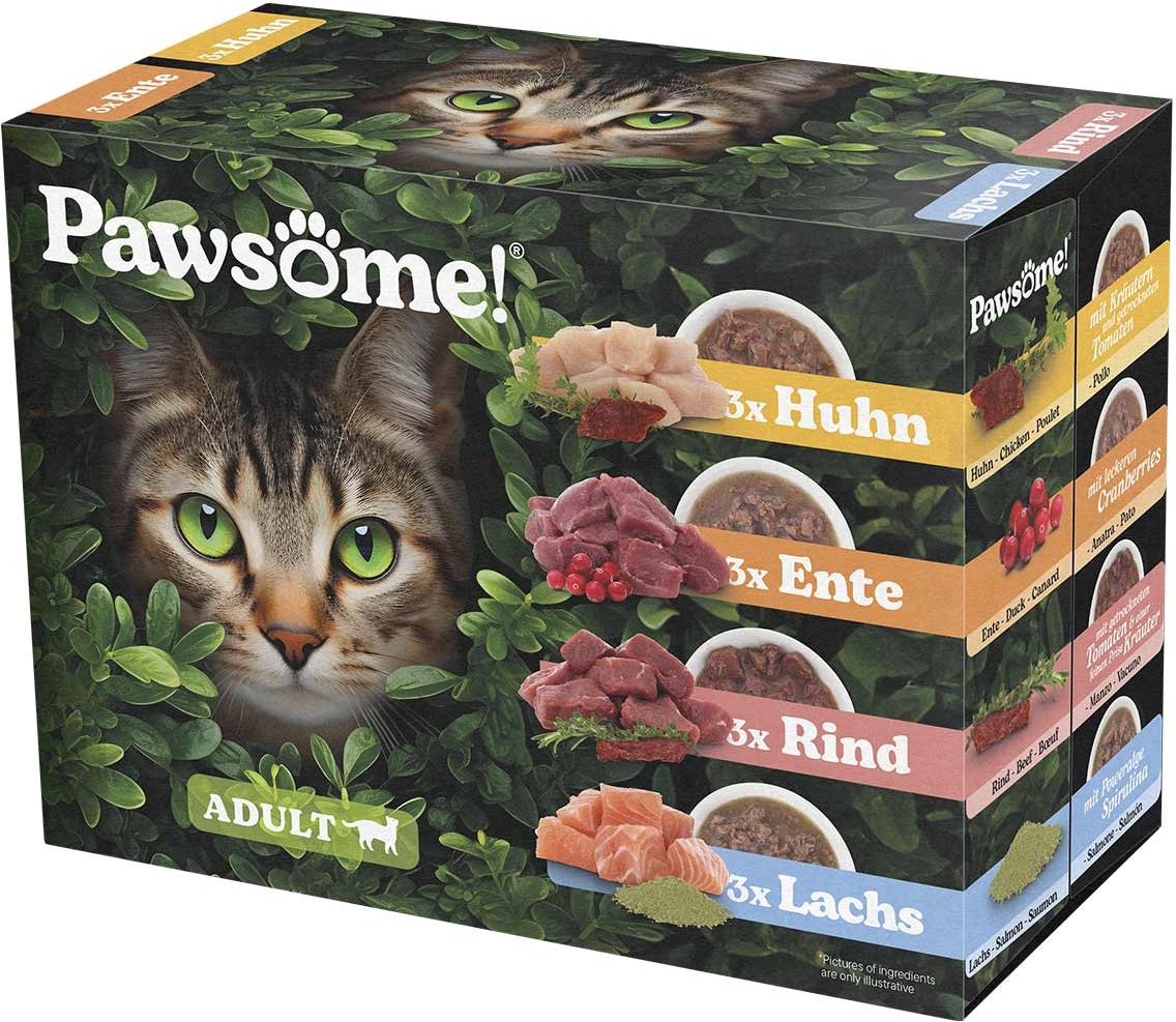 Pawsome Adult Mixpack 12x85g