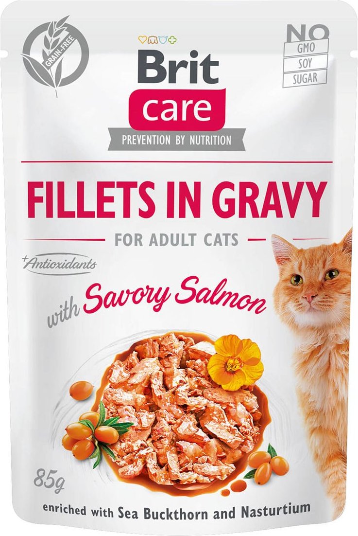 Brit Care Cat Fillets in Gravy with Savory Salmon 24x85g