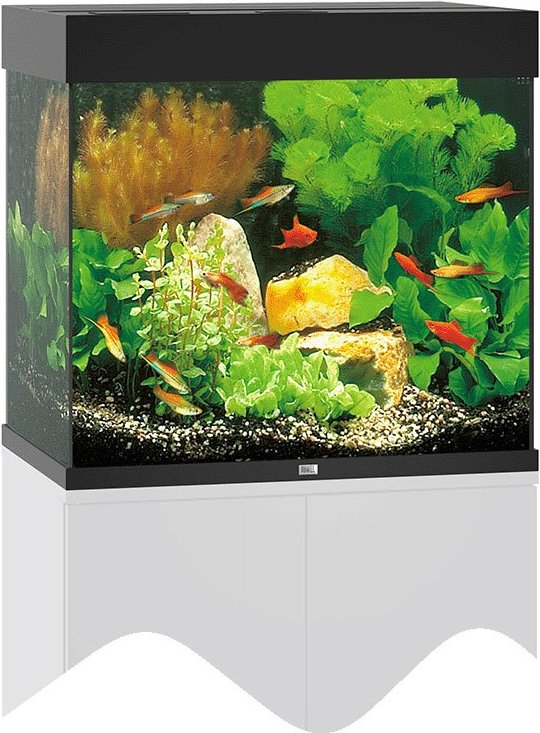 Juwel Lido 120 LED Komplett Aquarium ohne Schrank grau