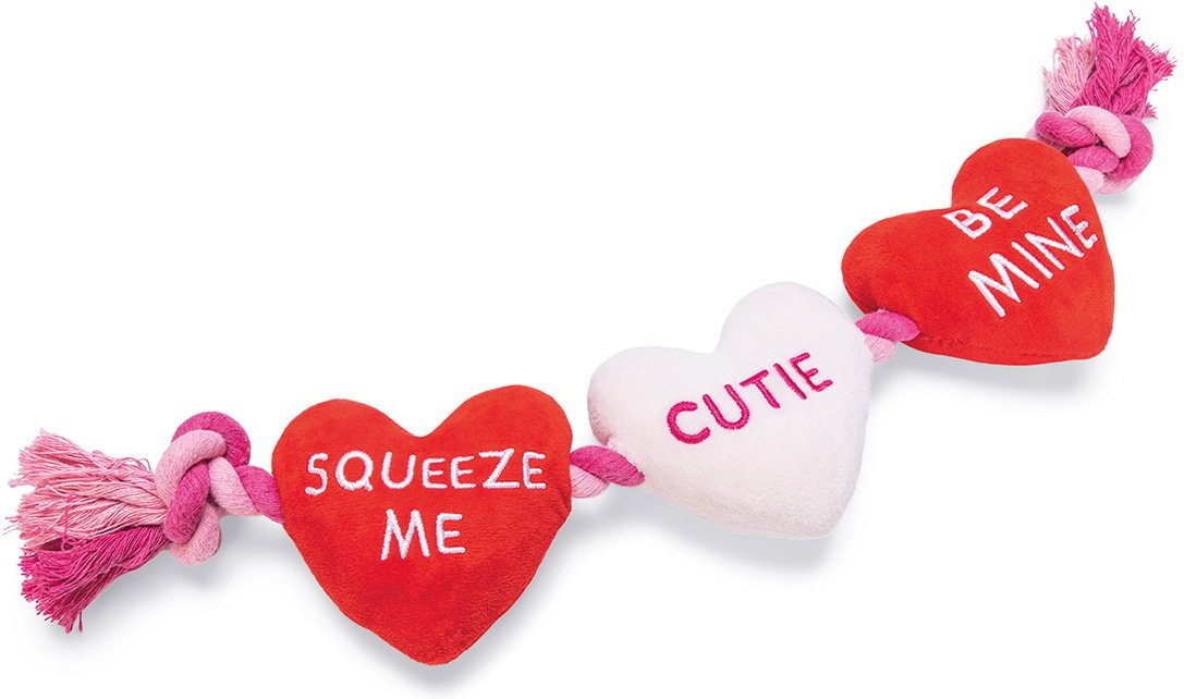 Beeztees Hundespielzeug Baumwollliebe