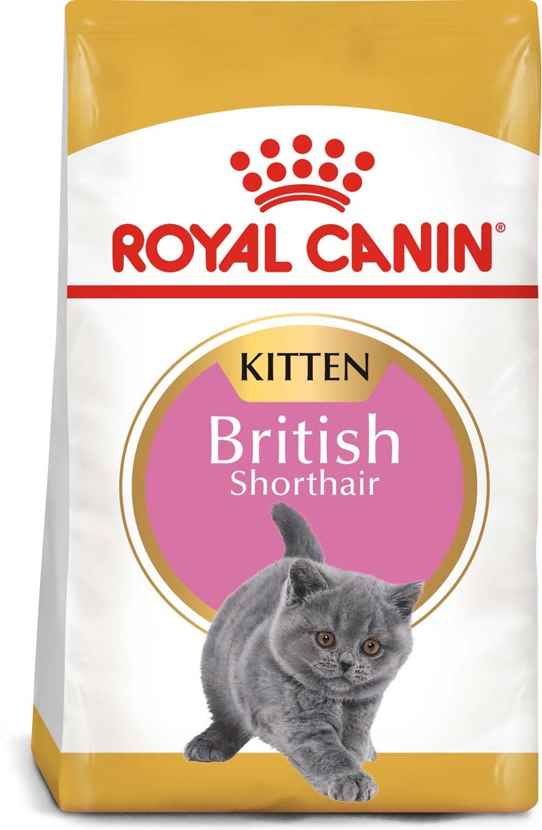 ROYAL CANIN British Shorthair Kittenfutter trocken für Kätzchen 10 kg