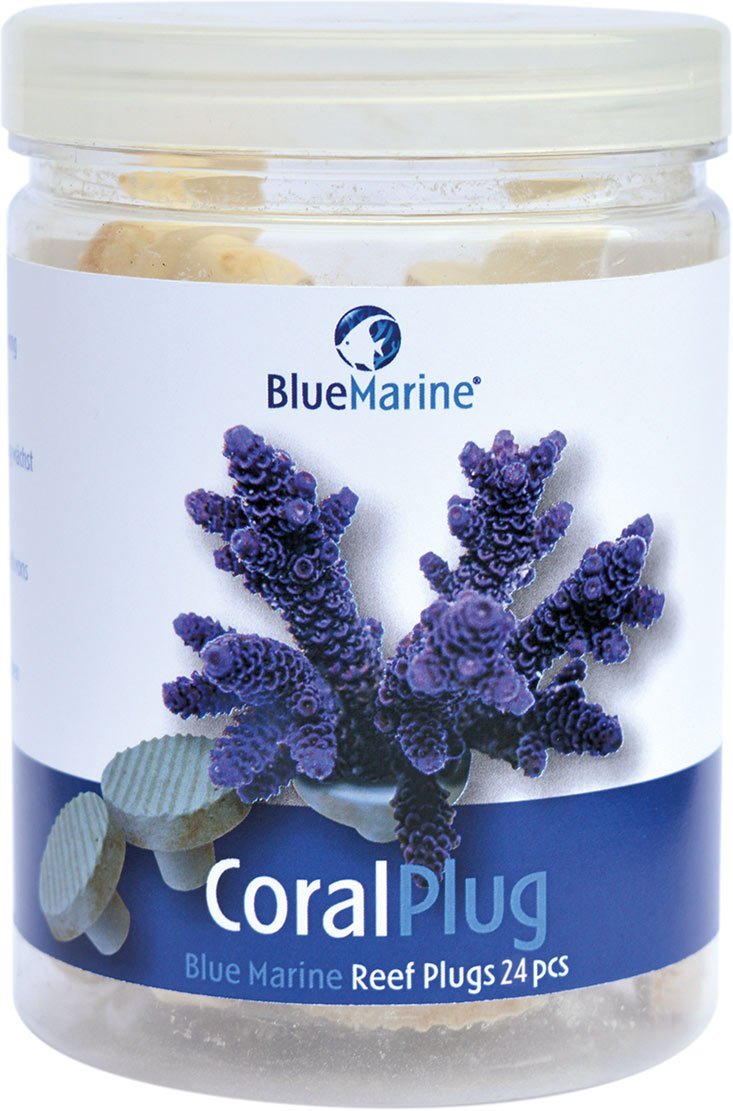 Blue Marine Coral Plug 24 Stück
