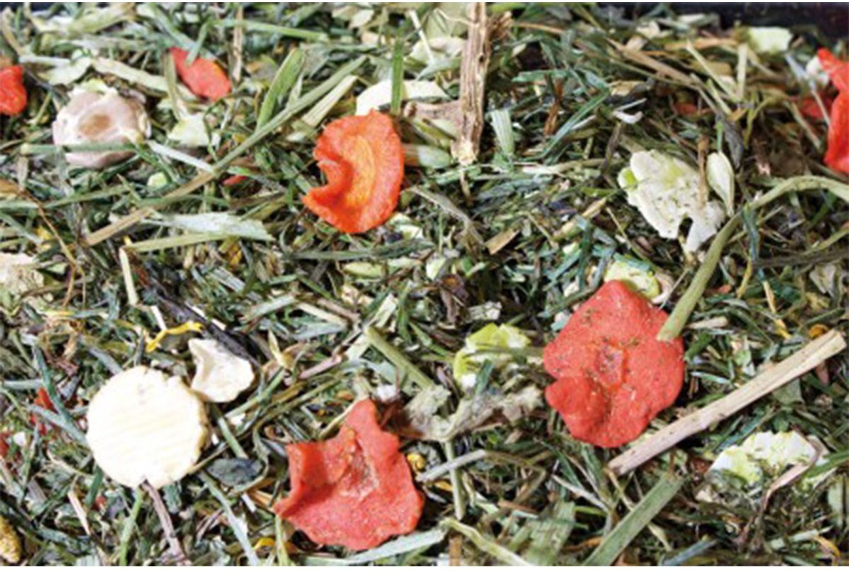 JR Farm Kaninchenfutter Grainless Herbs Zwergkaninchen 950g