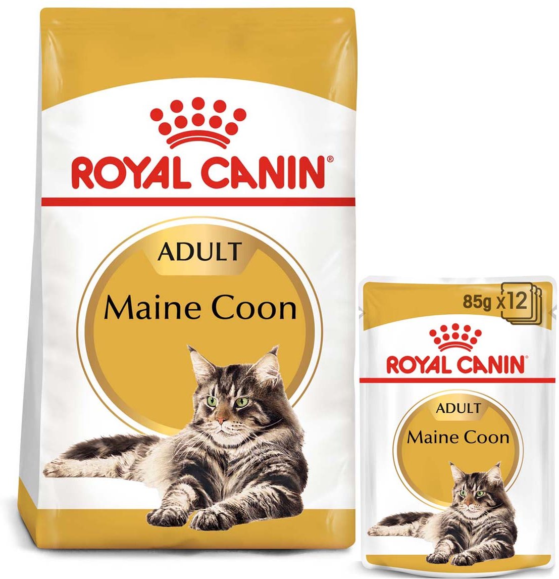 ROYAL CANIN ADULT Maine Coon 10kg + Nassfutter in Soße 48x85g