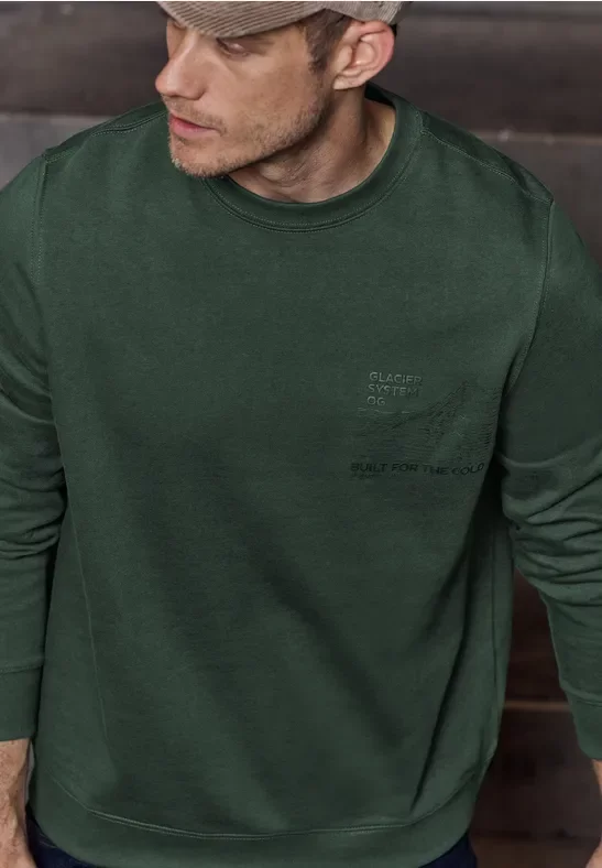 Sweatshirt mit Detailprint