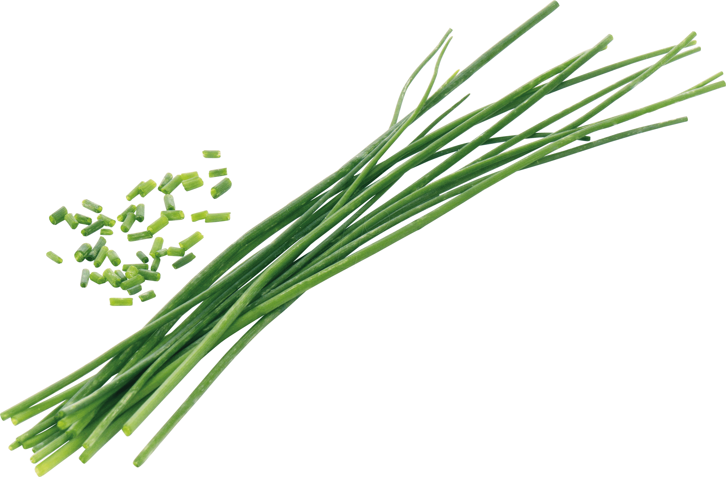 VER A10-CIB004 - Indoor Garden, Bio-Schnittlauch