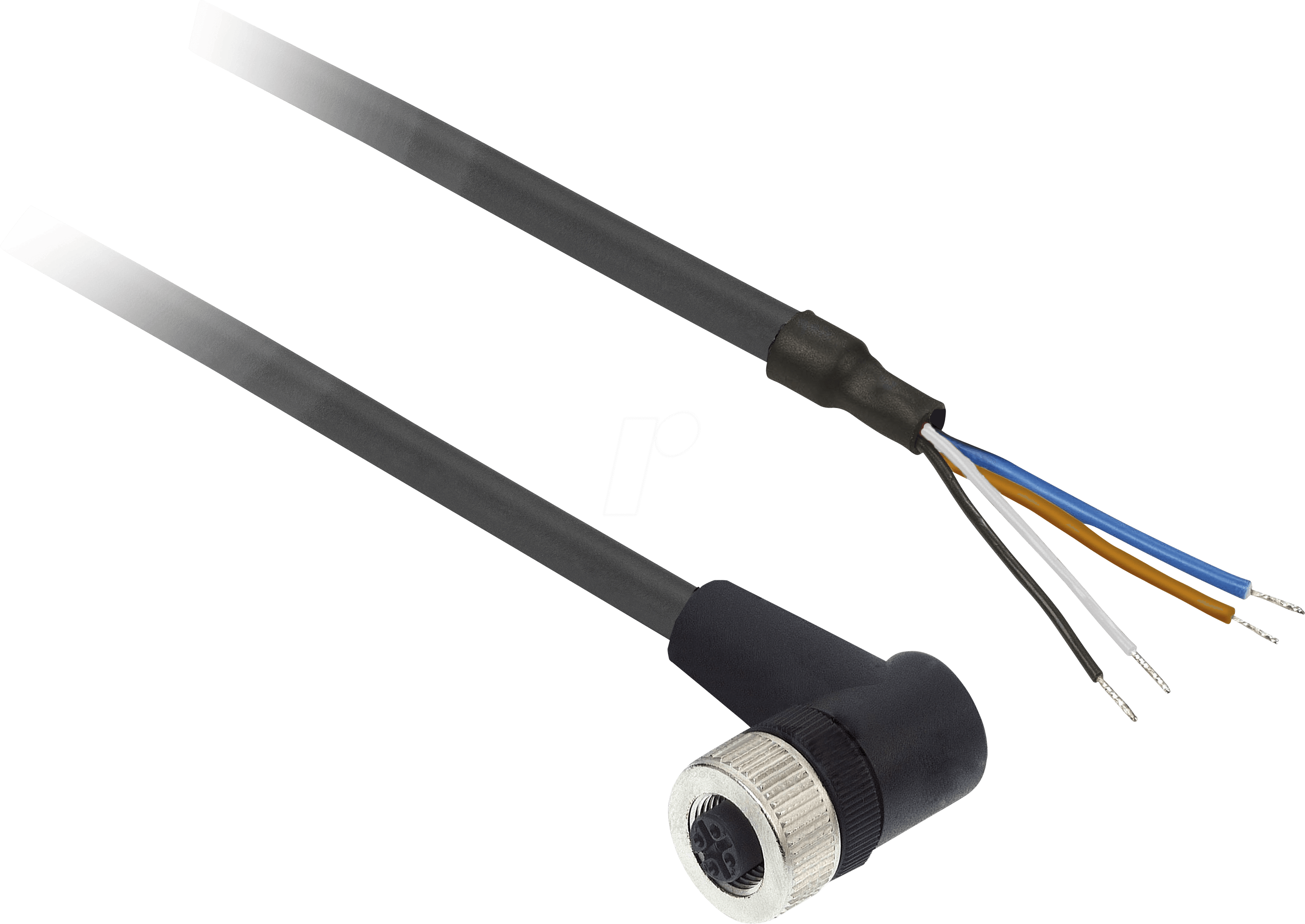 XZCP1241L2 - XZ-Buchsen, gewinkelt, M12, 4-pol, PUR 2m Kabel