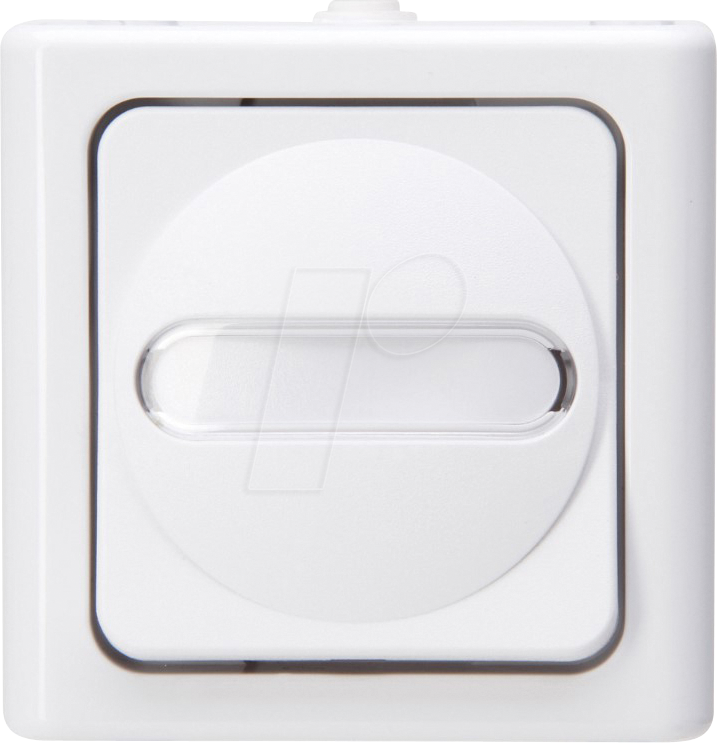 EL BE 561402019 - BLUE ELECTRIC - Taster (Wechsler), arktisweiß