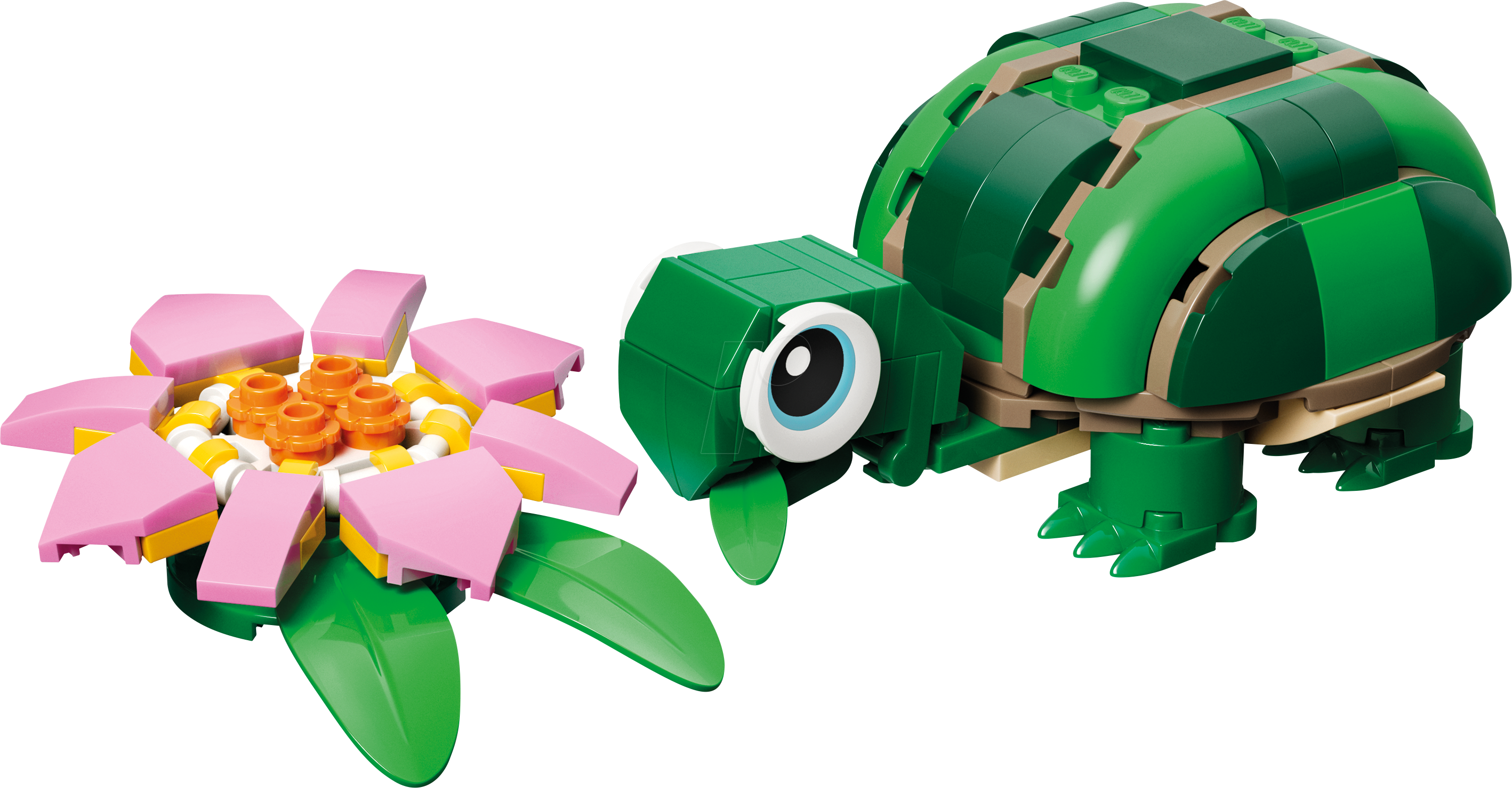 LEGO 31377 - LEGO® Creator - Schildkröte mit Seerose