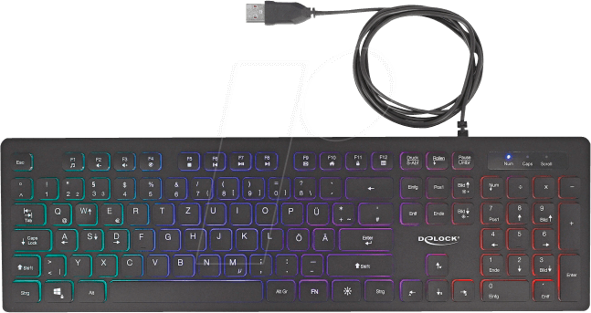 DELOCK 12625 - Tastatur, USB, beleuchtet, schwarz