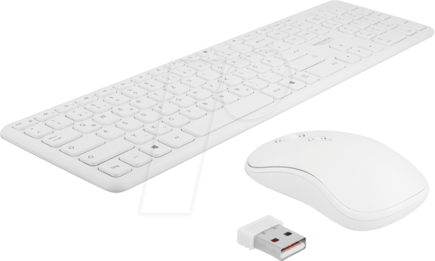 DELOCK 12703 - Tastatur-/Maus-Kombination, Funk, weiß