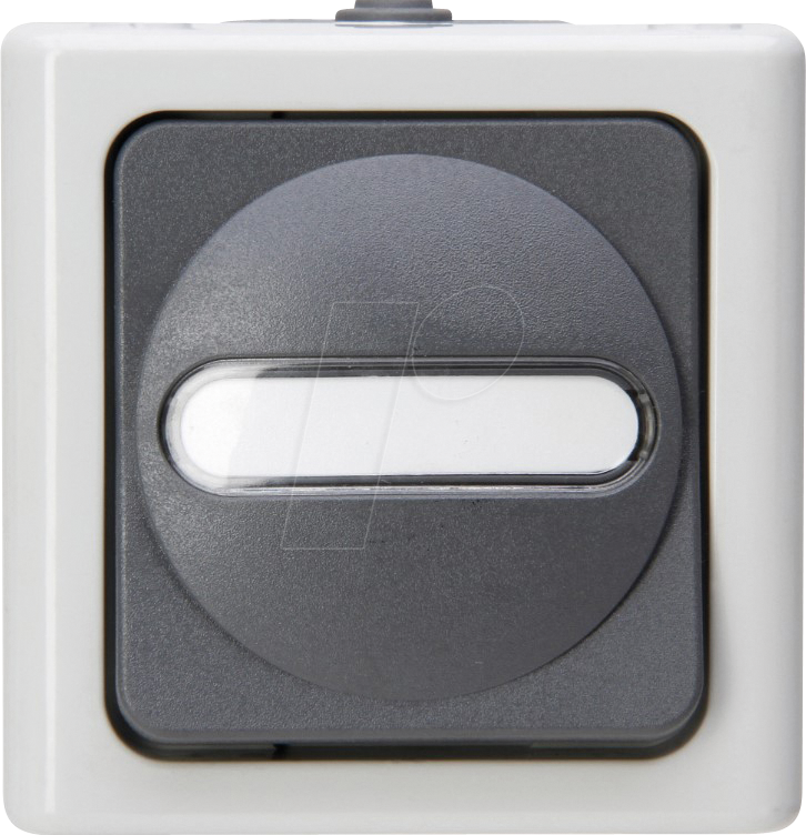 EL BE 561456001 - BLUE ELECTRIC - Taster (Wechsler), grau