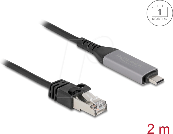 DELOCK 60760 - Netzwerkadapter, Kabel, USB Typ C, Gigabit Ethernet, 2 m