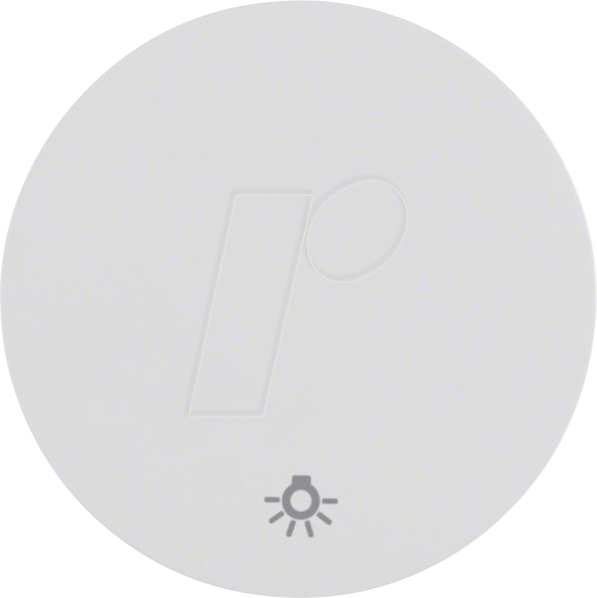 Thumbnail - BERKER 16202079 - Wippe mit Aufdruck Symbol Licht R.1/R.3 polarweiß, glänzend