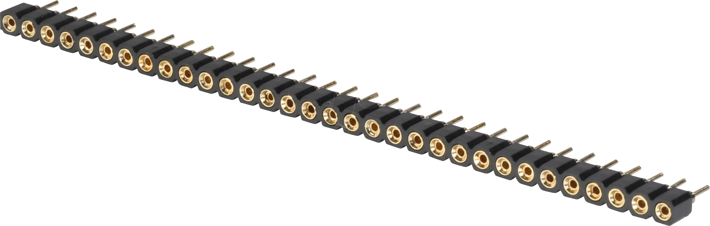 BKL 10120834 - Präzisionsbuchsenleiste 32-pol. Vergold.