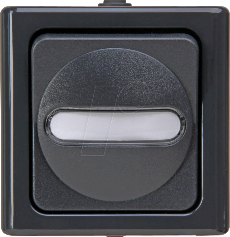 EL BE 561415002 - BLUE ELECTRIC - Taster (Wechsler), anthrazit