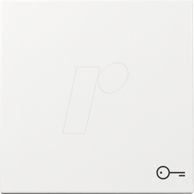GIRA 3287 03 - Wippe mit Symbol Schlüssel, reinweiß glänzend
