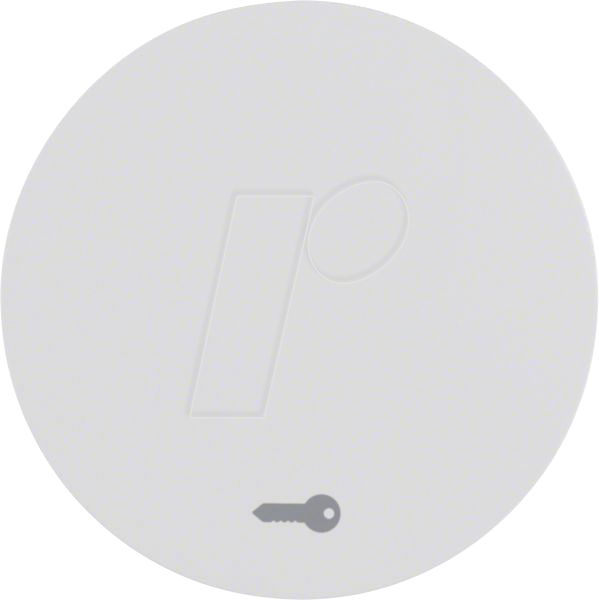BERKER 16202059 - Wippe mit Aufdruck Symbol Tür R.1/R.3 polarweiß, glänzend