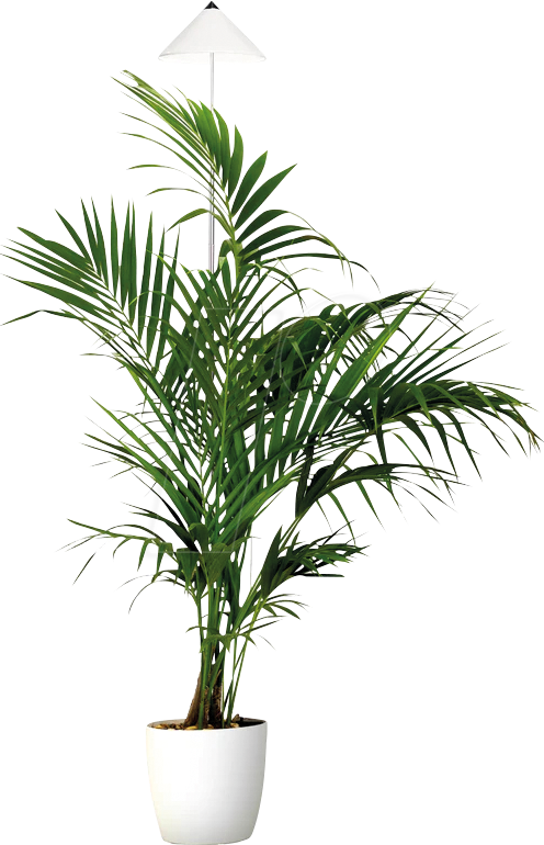 VENSO E504 199 - SUNLiTE Pflanzenlampe XL weiß 25 W LED