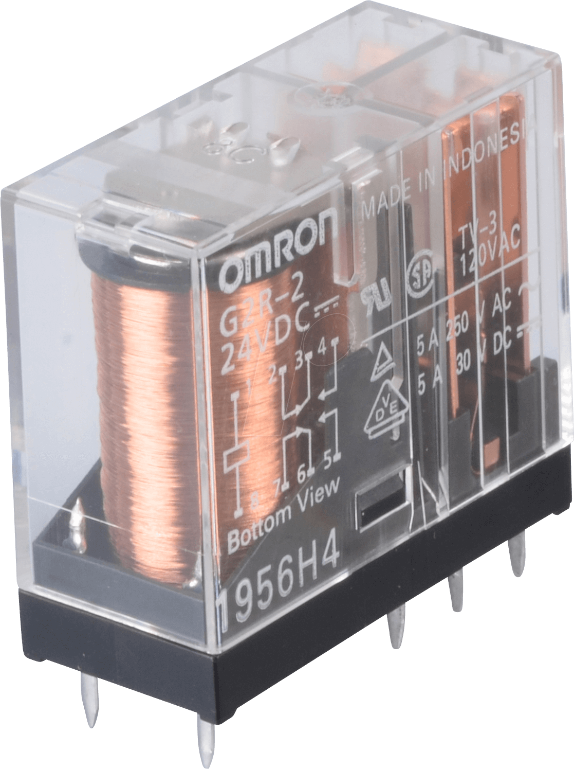 G2R 2W 24DC - Printrelais - 2 Wechsler, 5 A, 24 V DC