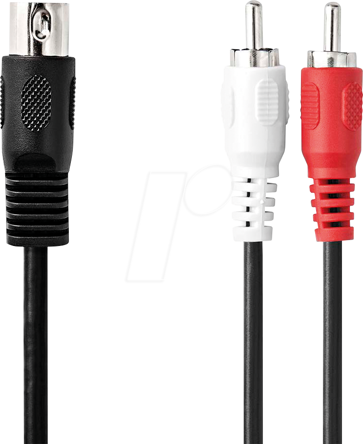N CAGL20200BK10 - Audio Kabel, 5-pol DIN auf 2x Cinch, 1 m