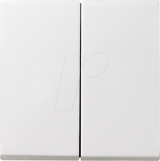 GIRA55 W2 RWM - Wippe 2-fach Reinweiß seidenmatt
