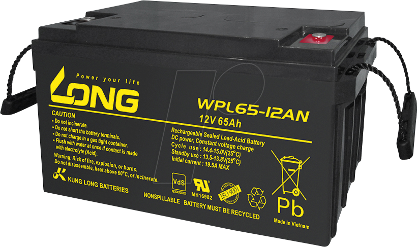 WP L65-12AN-M - Blei-Vlies-Akku, 12 V, 65 Ah, Longlife