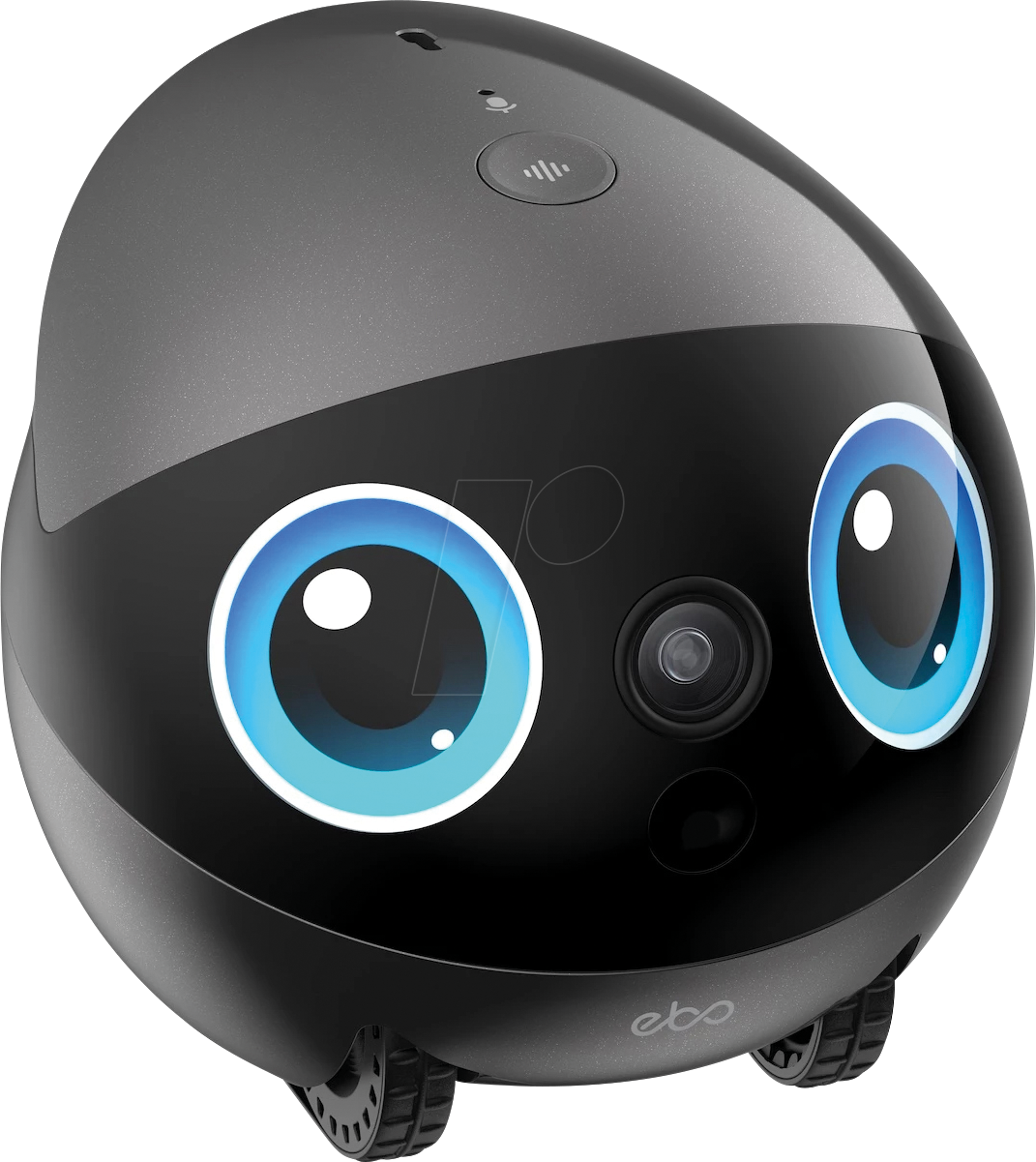 EBO AIR 2 PLUS G - Mobile Überwachungskamera, IP, WLAN, innen