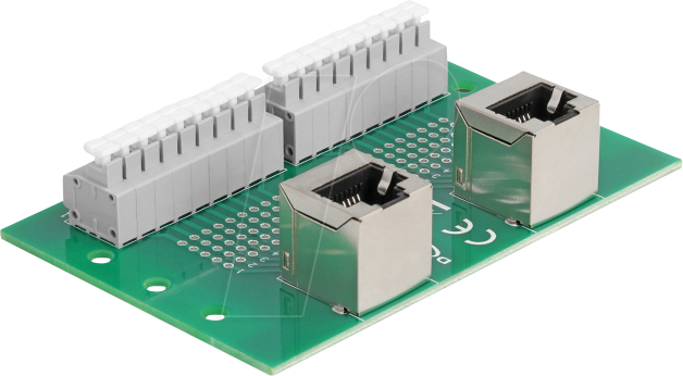DELOCK 66995 - RJ45 2x Buchse / Terminalblock, Hutschiene, gewinkelt