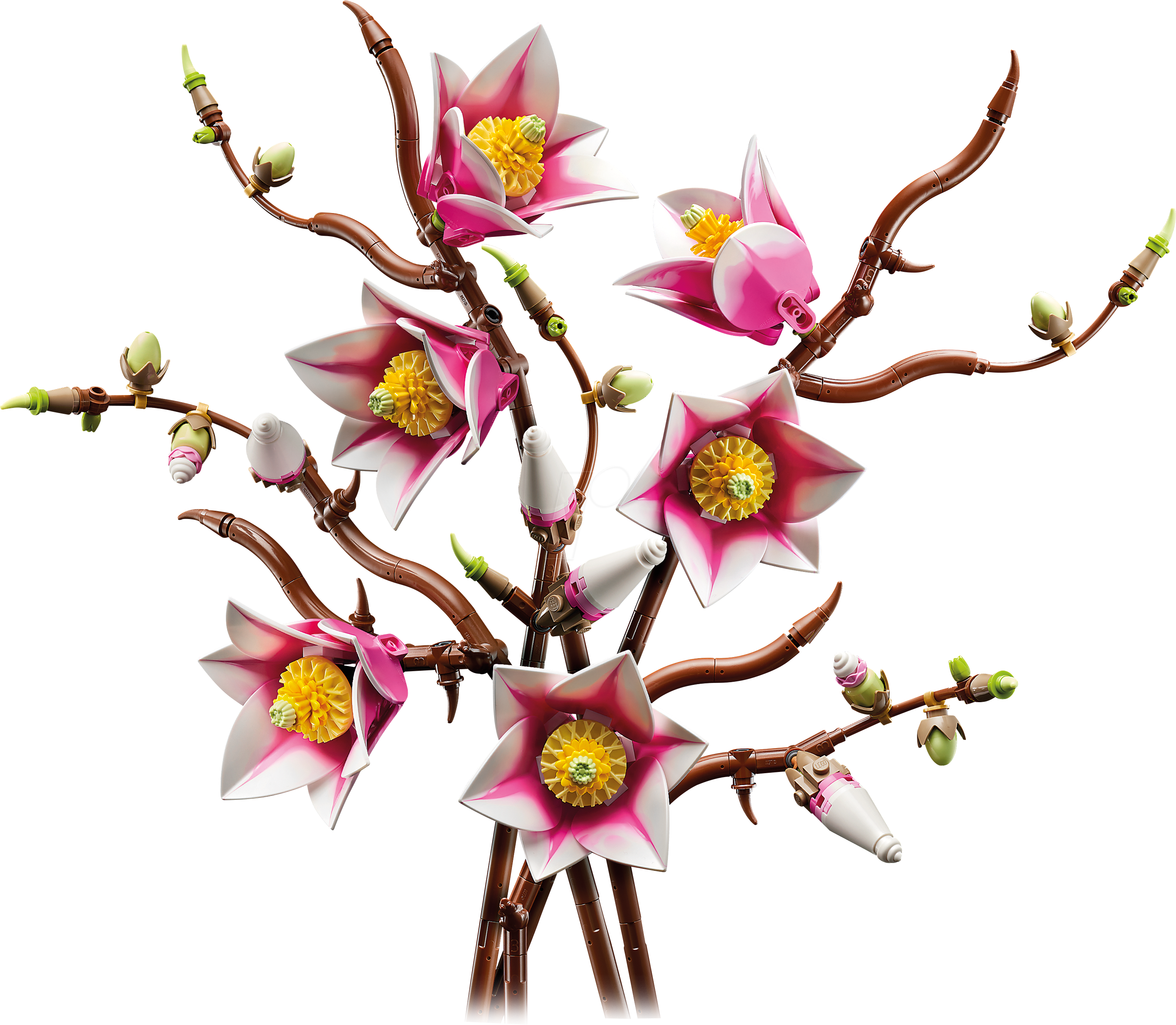 LEGO 11510 - LEGO® Botanicals - Magnolienzweige