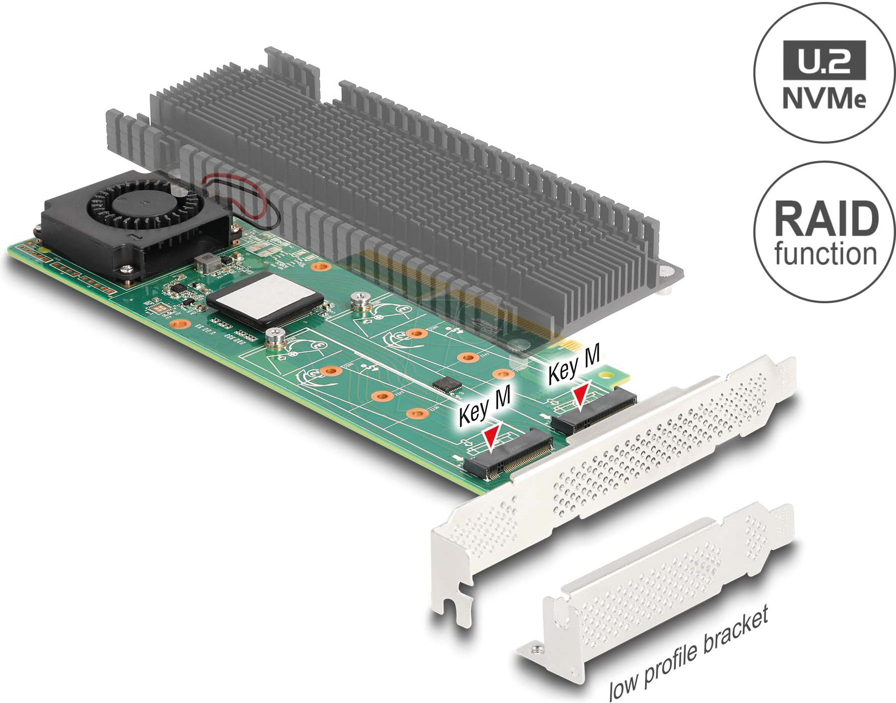 DELOCK 90123 - PCIe x8 > 2x NVMe M.2 Key M mit RAID, LP