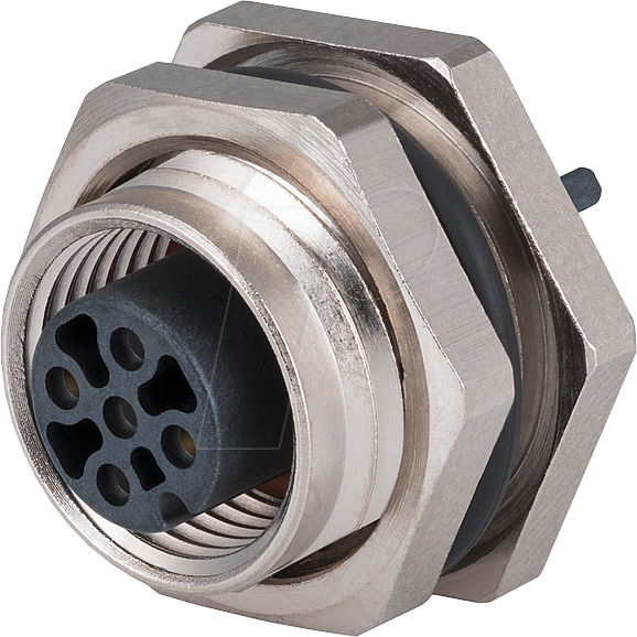 MC MMT371A915 - SAL M12, 2-pol, Buchse, gerade