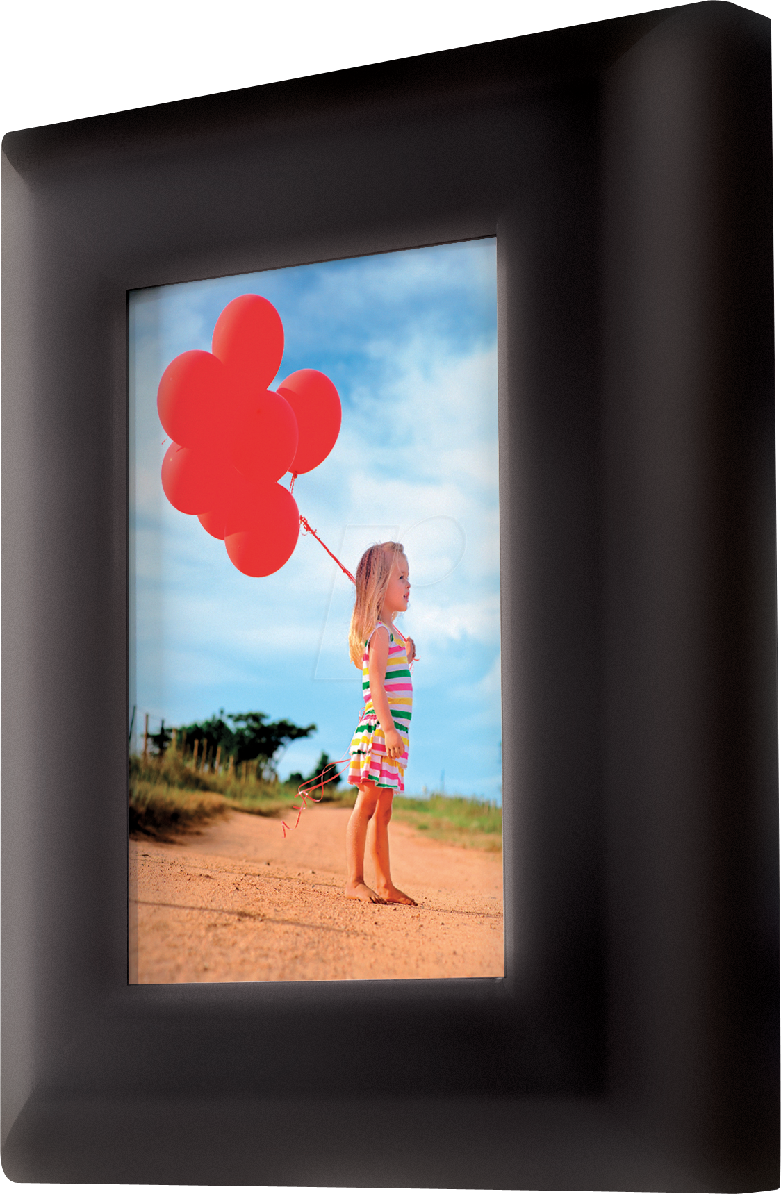 ML 5451EURD - Schlüsselkasten, Schlüsselschloss, 5 Haken