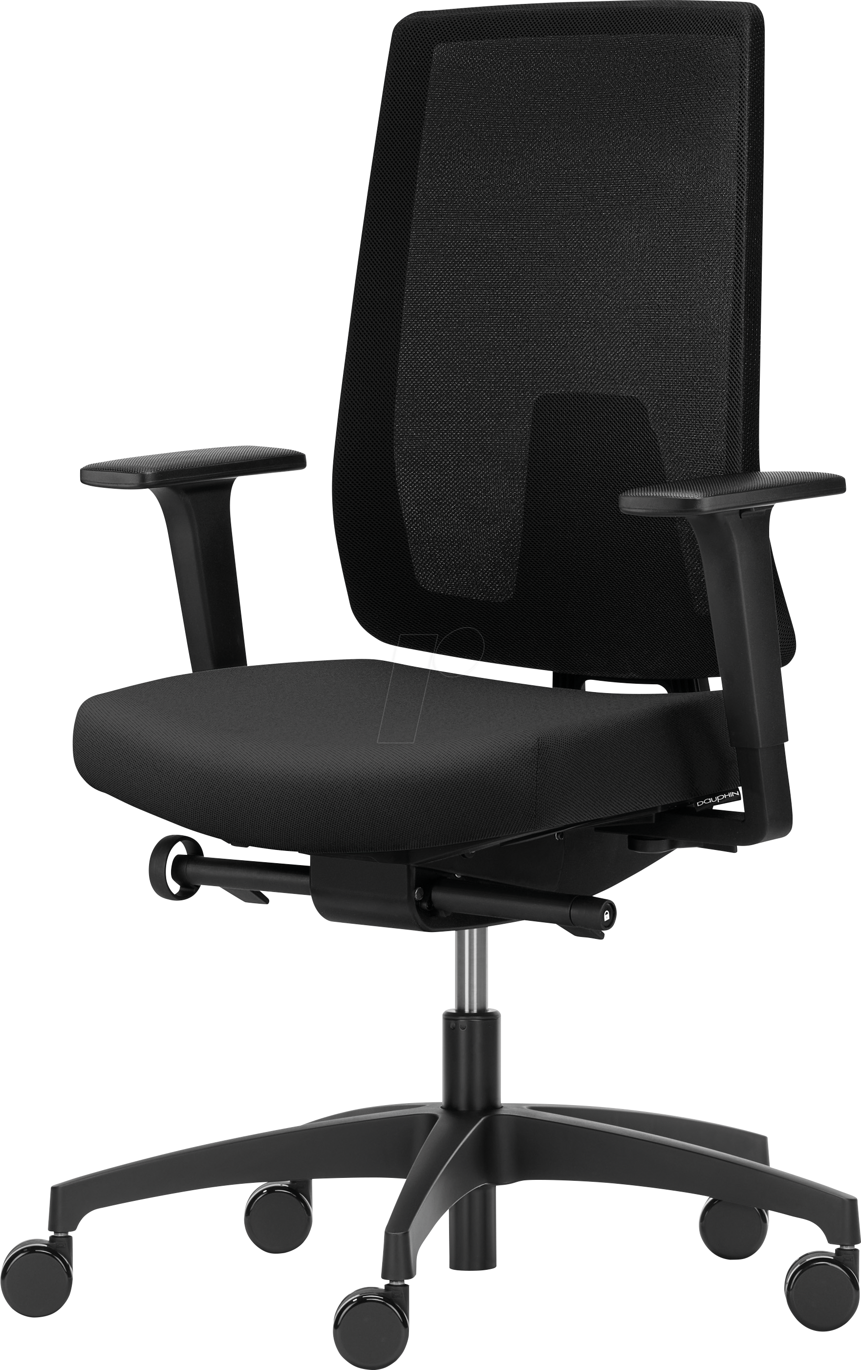 DPH INDEED MS - Dauphin Indeed mesh