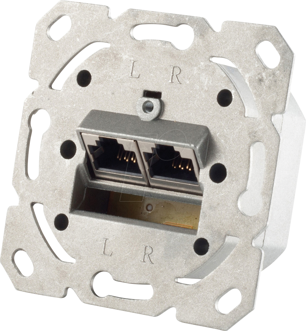 SHVP BS74280 - Cat.6A Netzwerkdose 2-Port designfähig