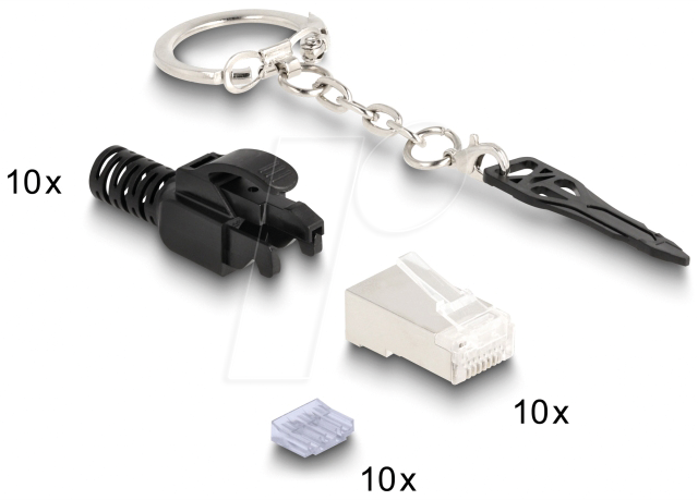DELOCK 66988 - Abschließbarer Cat.6 Modularstecker, geschirmt, 10er Set