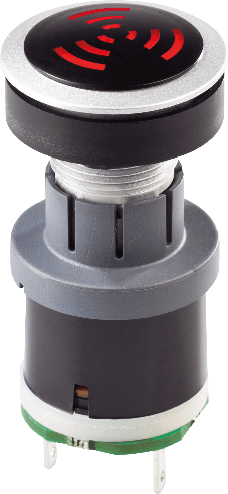 RRJNSGLSGILR24V - Akustischer Signalgeber - 12 … 24 V DC, silber